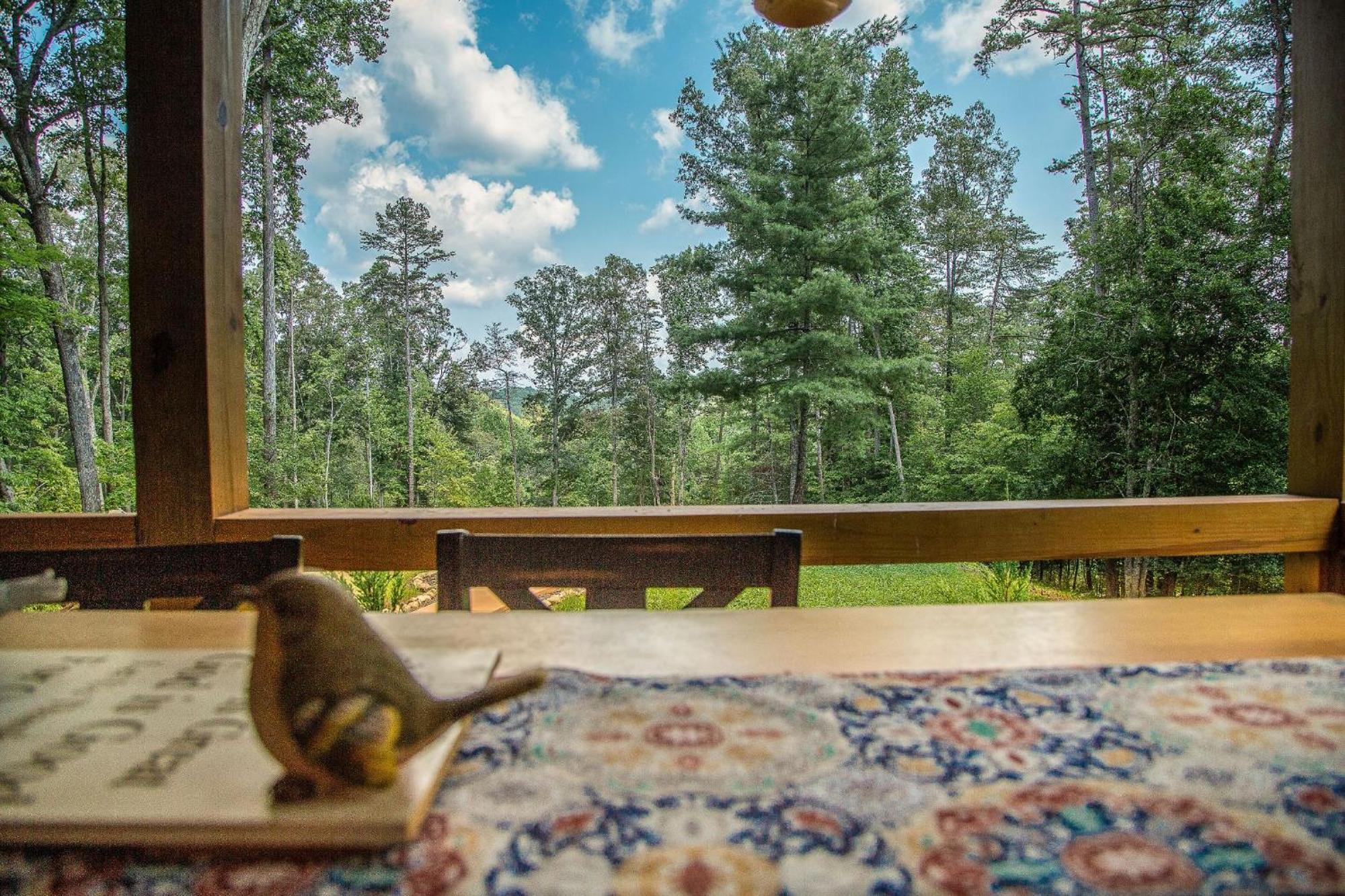 Adore The Smores Rustic Mountain Charm Outdoor Spaces And A Cozy Hot Tub ブルーリッジ山脈 エクステリア 写真